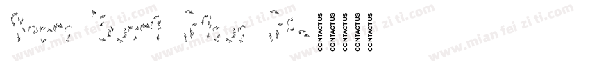 Sensa Brush Flora Fi字体转换